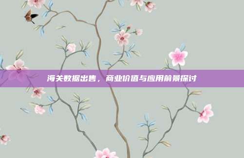 海关数据出售，商业价值与应用前景探讨