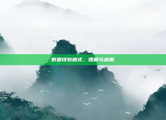数据钱包格式，理解与应用
