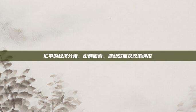 汇率的经济分析，影响因素、波动效应及政策调控