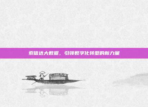 索信达大数据,引领数字化转型的新力量