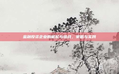 金融投资企业的崛起与挑战,策略与实践