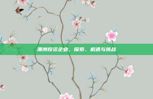 澳洲投资企业，探索、机遇与挑战