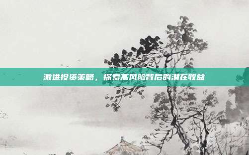 激进投资策略，探索高风险背后的潜在收益