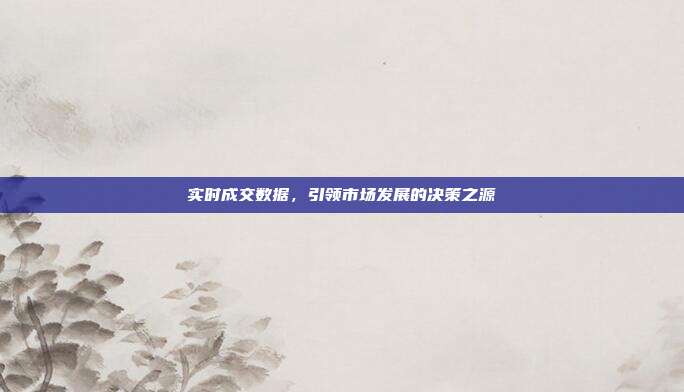 实时成交数据，引领市场发展的决策之源