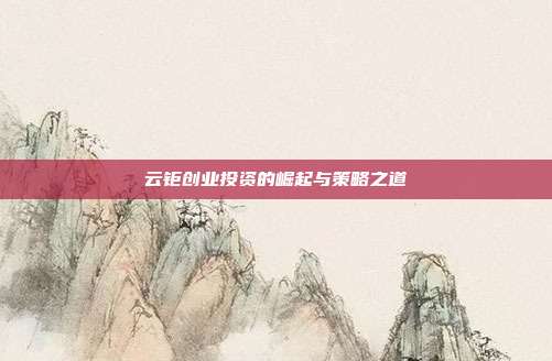 云钜创业投资的崛起与策略之道