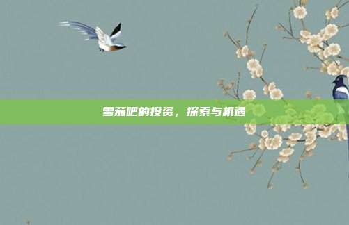 雪茄吧的投资，探索与机遇