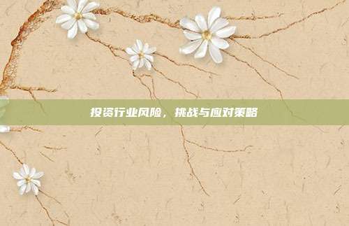 投资行业风险，挑战与应对策略