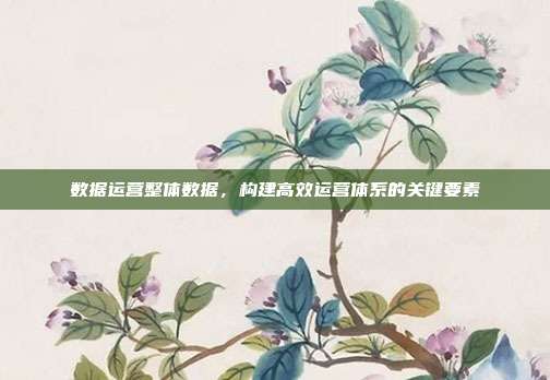 数据运营整体数据，构建高效运营体系的关键要素