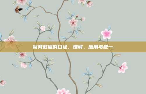 财务数据的口径，理解、应用与统一