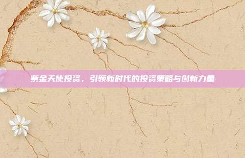 紫金天使投资，引领新时代的投资策略与创新力量