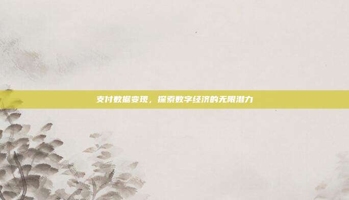 支付数据变现，探索数字经济的无限潜力