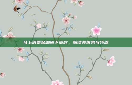 马上消费金融旗下贷款，解读其优势与特点