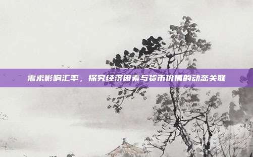 需求影响汇率，探究经济因素与货币价值的动态关联