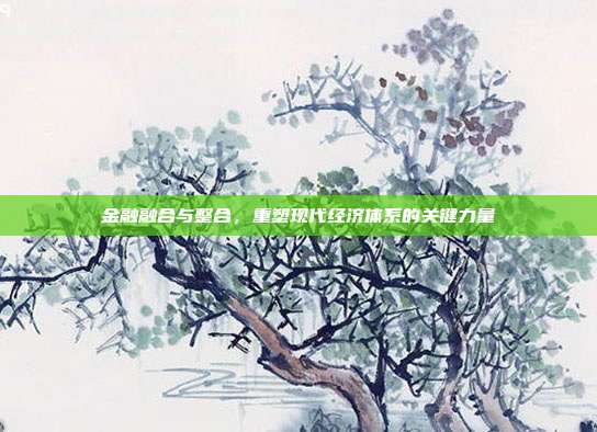 金融融合与整合，重塑现代经济体系的关键力量