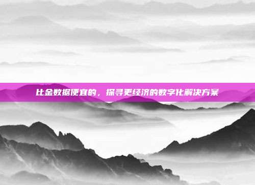 比金数据便宜的，探寻更经济的数字化解决方案