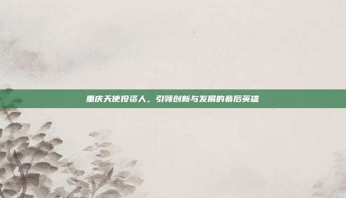 重庆天使投资人，引领创新与发展的幕后英雄