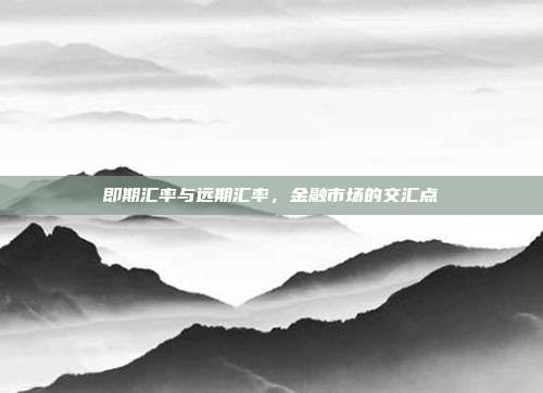 即期汇率与远期汇率，金融市场的交汇点