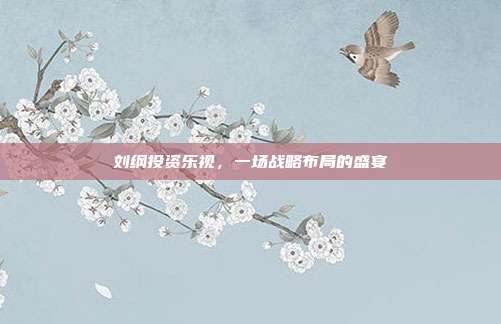 刘纲投资乐视，一场战略布局的盛宴