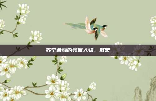 苏宁金融的领军人物，戴宏