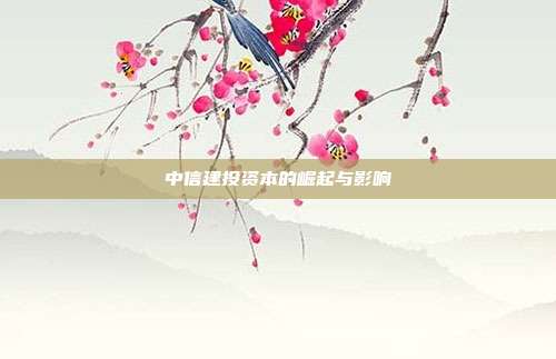 中信建投资本的崛起与影响