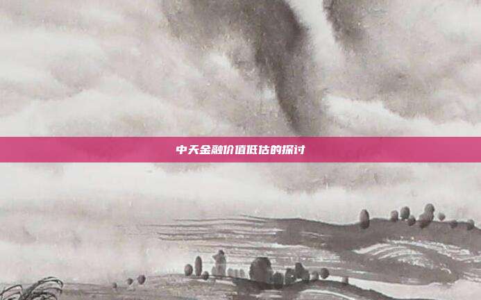 中天金融价值低估的探讨