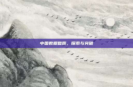 中国数据复原，探索与突破