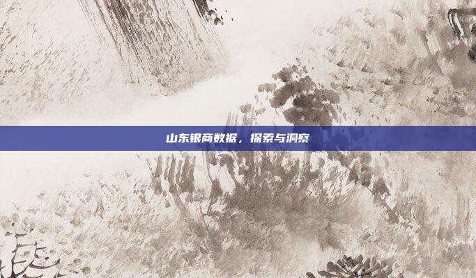 山东银商数据，探索与洞察