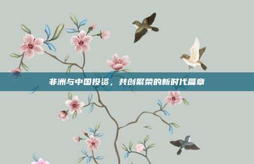 非洲与中国投资，共创繁荣的新时代篇章