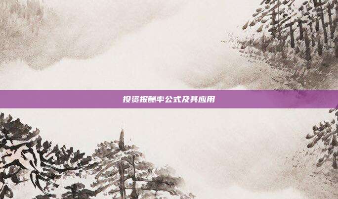 投资报酬率公式及其应用