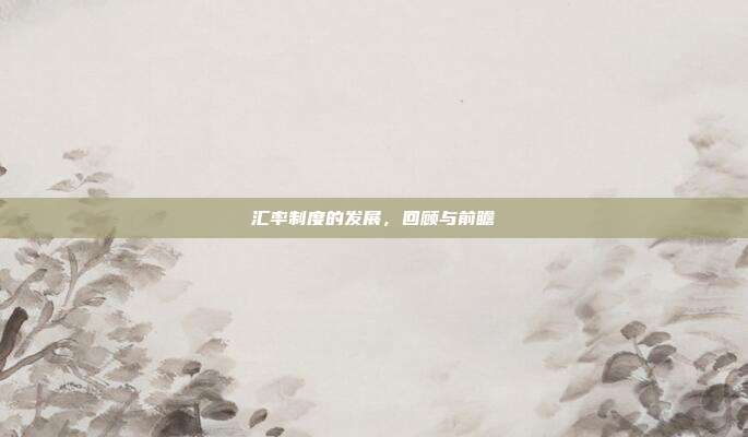 汇率制度的发展，回顾与前瞻