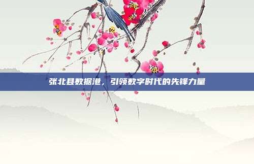 张北县数据港，引领数字时代的先锋力量