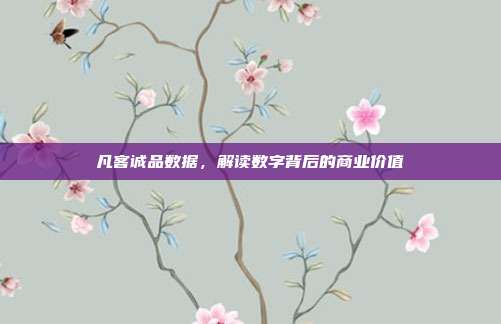 凡客诚品数据，解读数字背后的商业价值