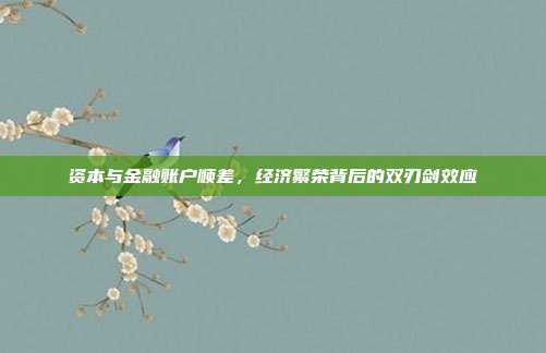 资本与金融账户顺差，经济繁荣背后的双刃剑效应