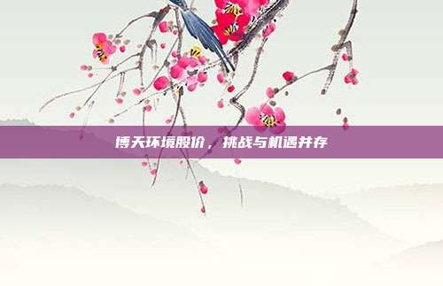 博天环境股价，挑战与机遇并存