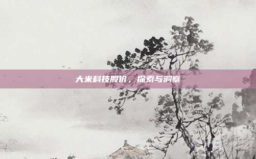 大米科技股价，探索与洞察