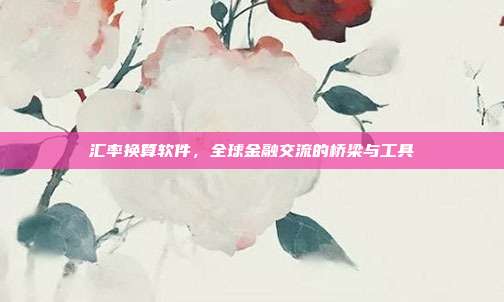 汇率换算软件，全球金融交流的桥梁与工具