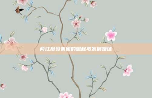 两江投资集团的崛起与发展路径