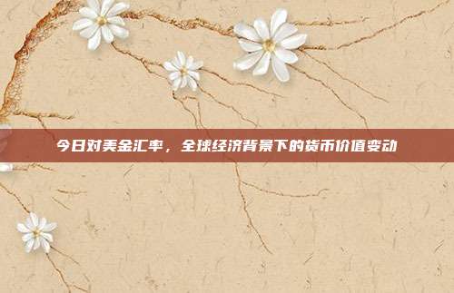 今日对美金汇率，全球经济背景下的货币价值变动