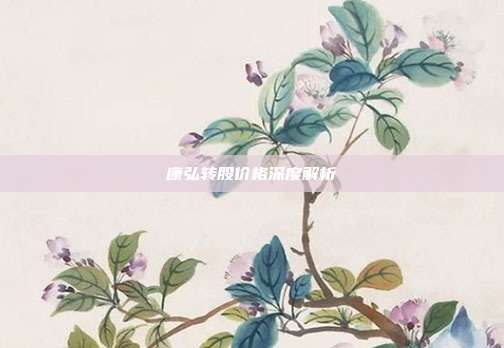 康弘转股价格深度解析