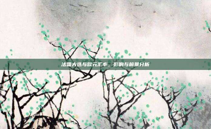 法国大选与欧元汇率，影响与前景分析