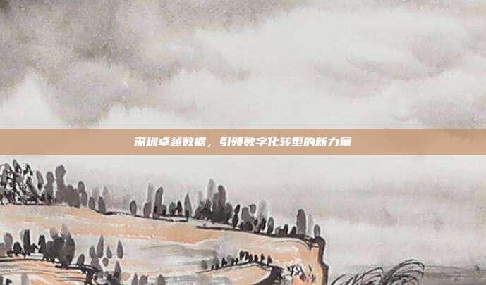深圳卓越数据，引领数字化转型的新力量