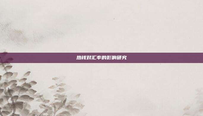 热钱对汇率的影响研究
