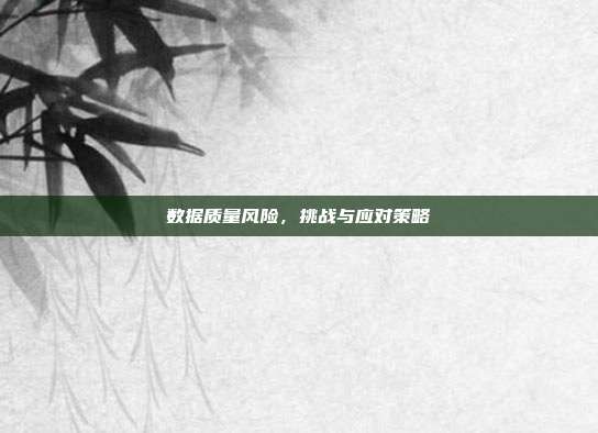 数据质量风险，挑战与应对策略