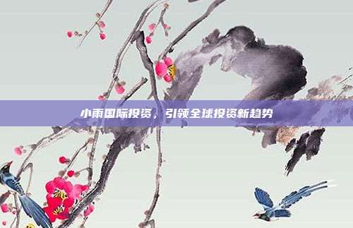 小雨国际投资，引领全球投资新趋势