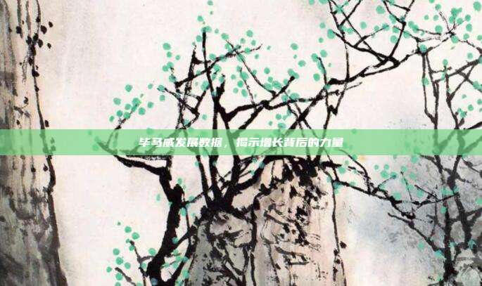 毕马威发展数据，揭示增长背后的力量