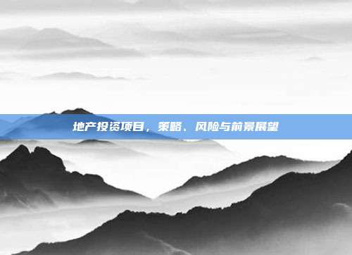 地产投资项目，策略、风险与前景展望