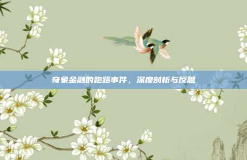奇象金融的跑路事件，深度剖析与反思
