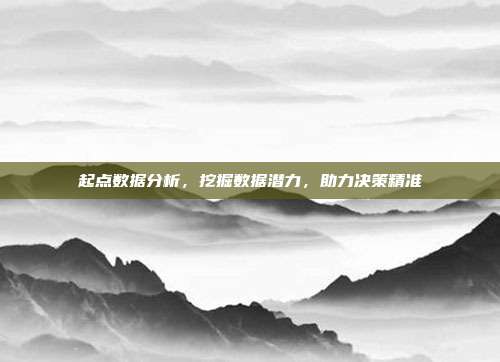 起点数据分析，挖掘数据潜力，助力决策精准