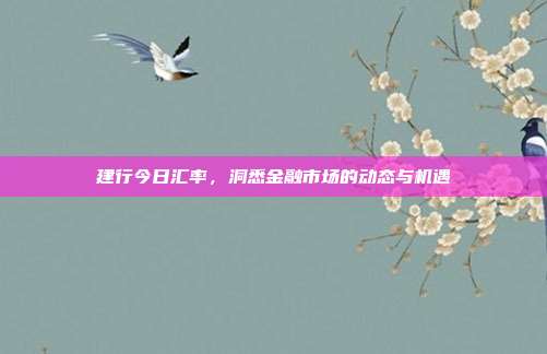 建行今日汇率，洞悉金融市场的动态与机遇