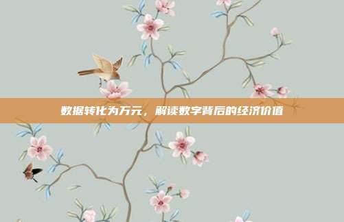 数据转化为万元,解读数字背后的经济价值